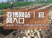 种植基地七(图1)