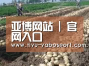 种植基地八