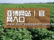 种植基地五