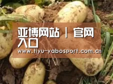 产品展示标题2