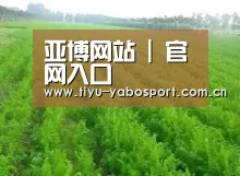 种植基地四