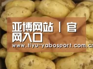 产品展示标题6
