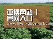 种植基地五(图1)