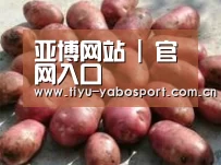 产品展示标题5