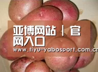 产品展示标题1