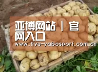 产品展示标题3