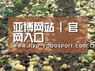 种植基地八(图1)