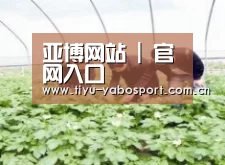 种植基地三