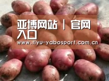 产品展示标题5(图1)