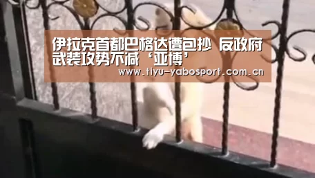 亚博官网