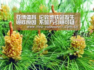 亚博