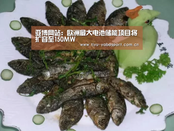亚博网站