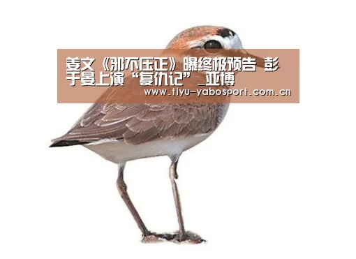 姜文《邪不压正》曝终极预告 彭于晏上演“复仇记”_亚博(图3) 亚博体育