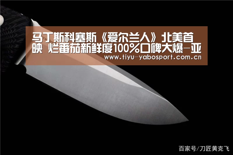 马丁斯科塞斯《爱尔兰人》北美首映 烂番茄新鲜度100%口碑大爆-亚博(图3) 亚博网站
